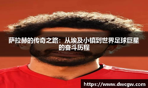 必一运动bsport体育